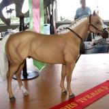 Bowral Live 2011