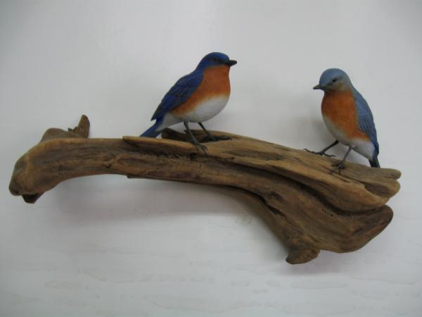 Pair Life size Bluebirds