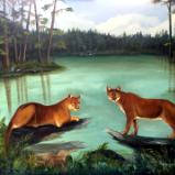 Panthers in the Everglades II