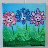 Corgiopsis flowers 6x6