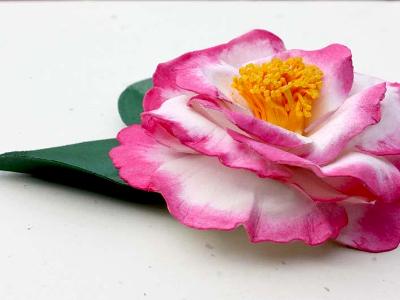 Betty Sheffield Supreme Camellia Pin Betty Sheffield Supreme Camellia Pin