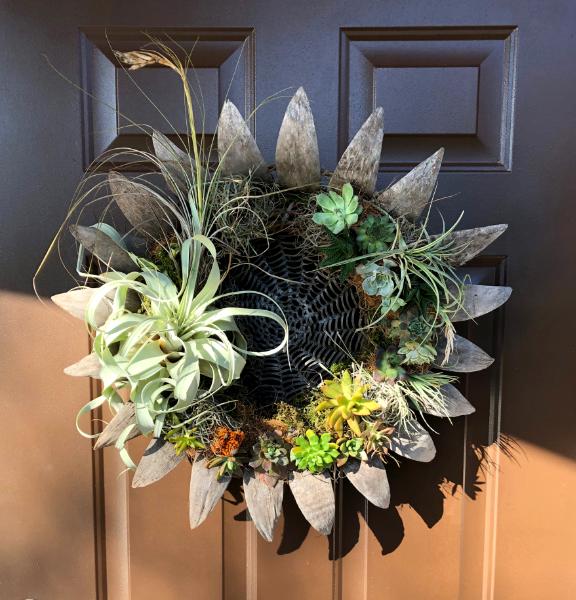 "Succulent" Living Wreath