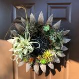 "Succulent" Living Wreath