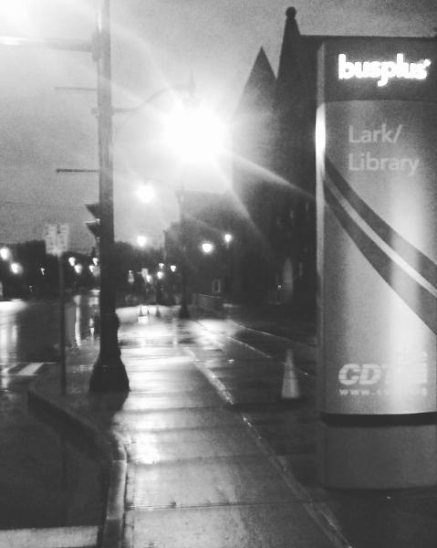 Bus Stop - Lark/Library
