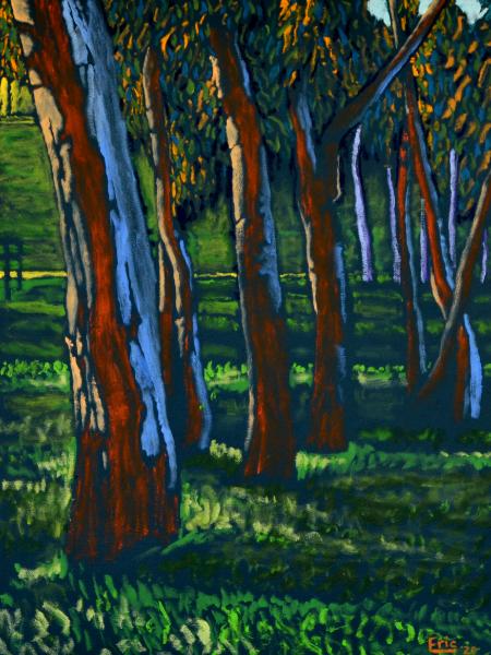 Eucalyptus Grove