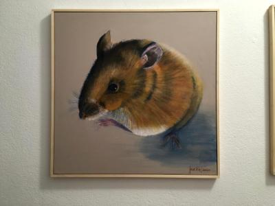 Mouse Mouse