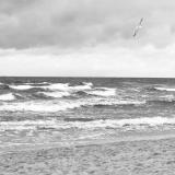 Black & White: Baltic Sea