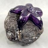 #09162506 Starfish on rock Purple 4.75''HX6''WX5.5''D $150.00