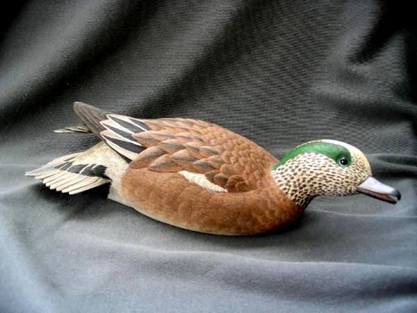 Half Size American Widgeon