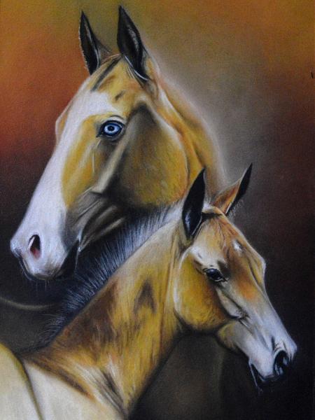 The beauty of the Akhal Teke horse, 38cm x 56cm, 2021