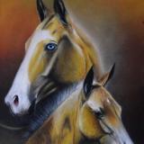 The beauty of the Akhal Teke horse, 38cm x 56cm, 2021