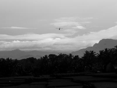 black & white black & white