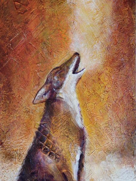 Coyote Song