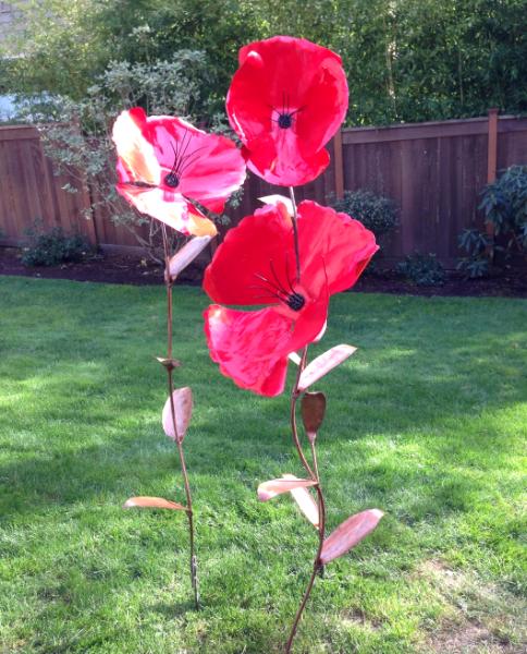 Giant Poppies