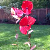 Giant Poppies