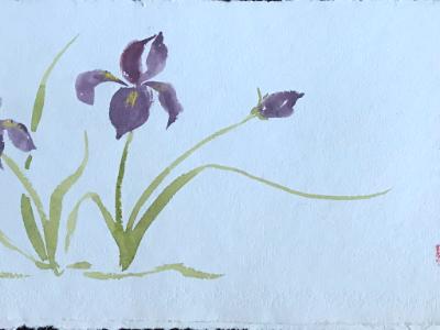 Blue Irises20x28 (available) Blue Irises20x28 (available)