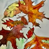 Fall Leaves II