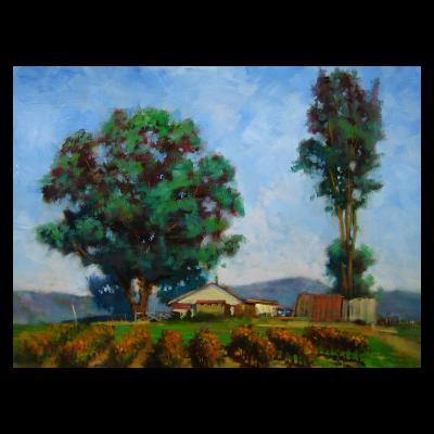 12x16.Front Yard 12x16.Front Yard