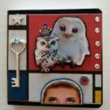  The Owls mini  journal