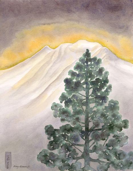 Winter Pine and Mountain