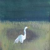 Egret