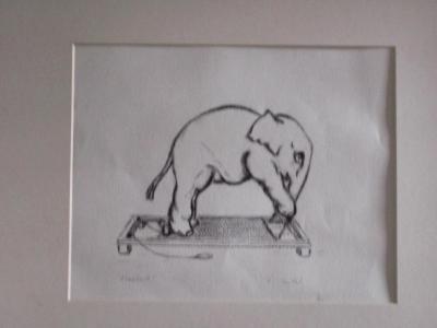 Elephant doing Elephant