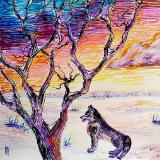 katnaj Artworks    *Colors in Harmony*   Earth,  Life,  Nature