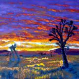 Joshua Tree National Park 2022 Show Joshua Tree National Park 2022 Show