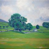 Wensleydale summer