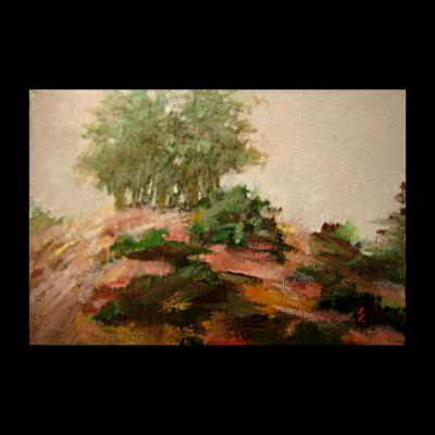 4x6.Treetops 4x6.Treetops