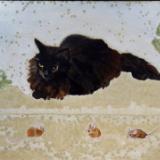 Myszka (Little Mouse)