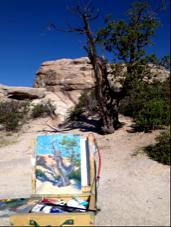 Windy Point Tree