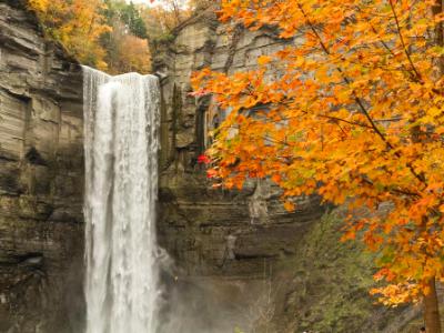 Taughannock Falls and Orange Maple Taughannock Falls and Orange Maple