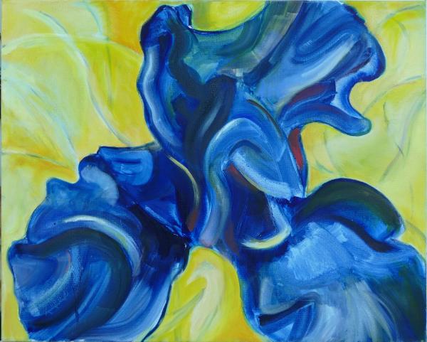 Abstract Iris 3