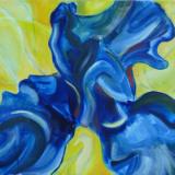 Abstract Iris 3