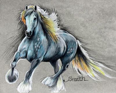 Blue Percheron Blue Percheron