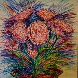 Carnations Expression 