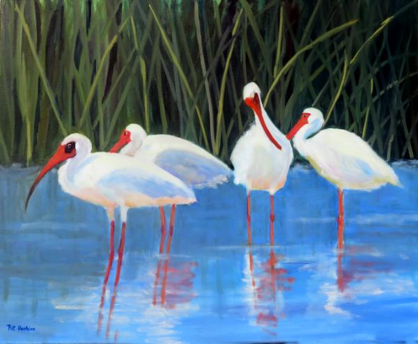 Ibis 4 - oil - 28x30