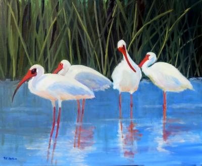 Ibis 4 - oil - 28x30