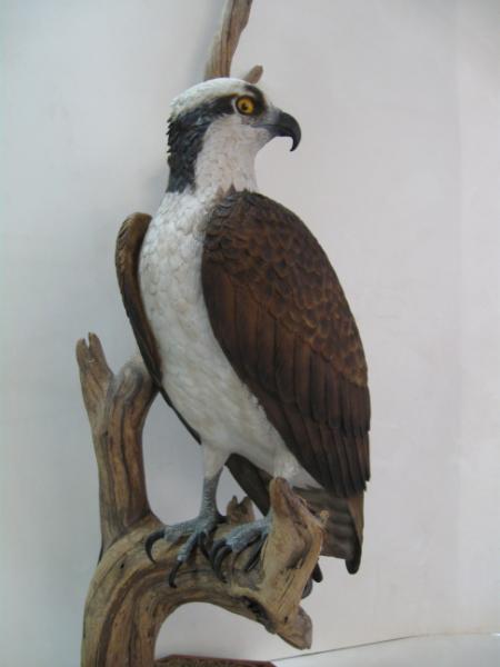 Life size Osprey