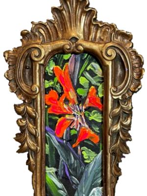 CANNA LILIES