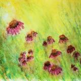 Echinacea 6 (#71)