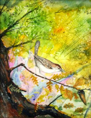 “Bewick's Wren” “Bewick's Wren”