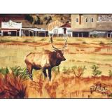 22 - elk, wyoming 22 - elk, wyoming