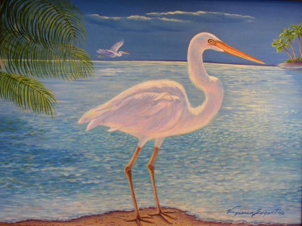 Great White Heron