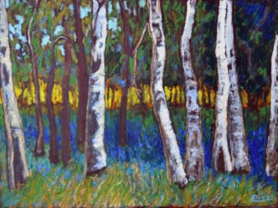 Forest Edge Forest Edge
