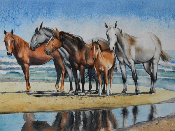 The Outher Banks horses, 38cm x 56cm, 2021