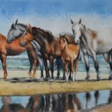 The Outher Banks horses, 38cm x 56cm, 2021