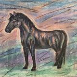 Black Horse Contours in Pastels