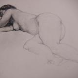 Female Study